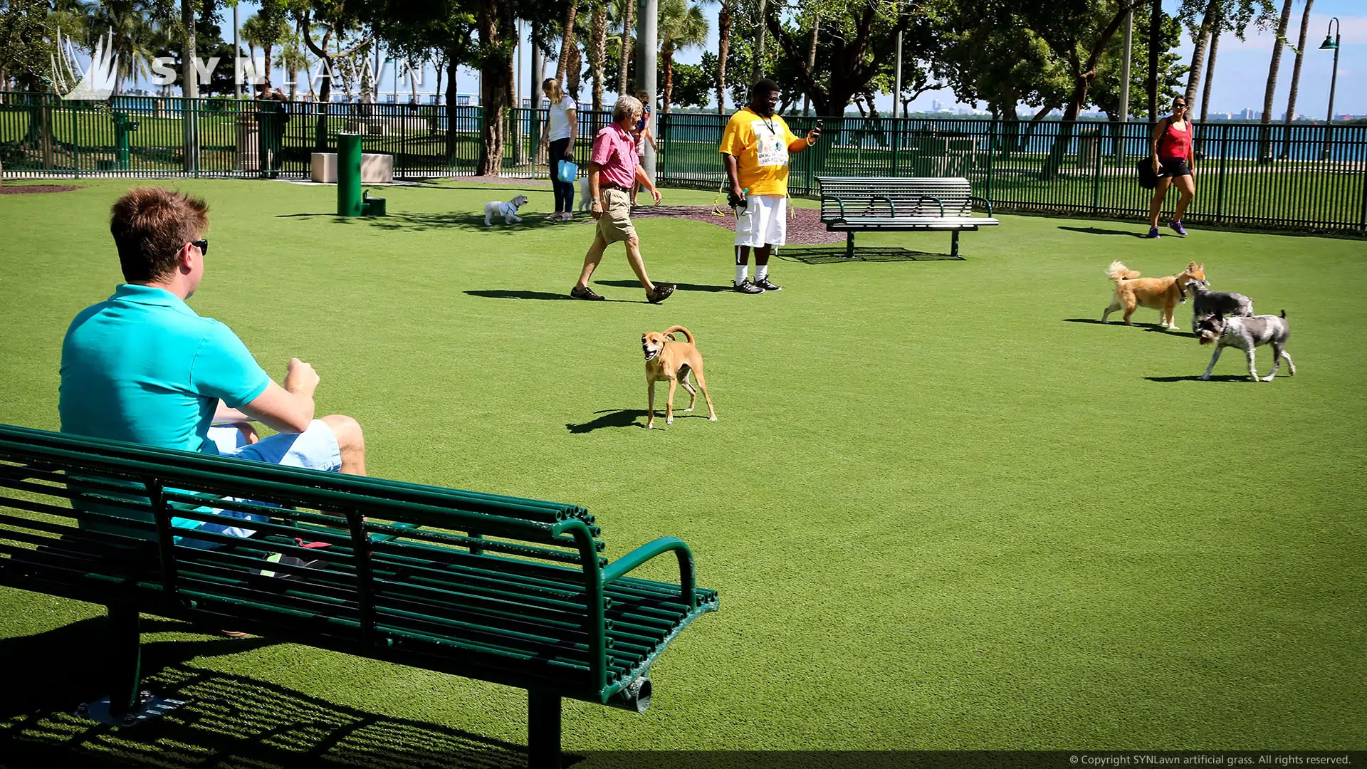 artificial pet grass park